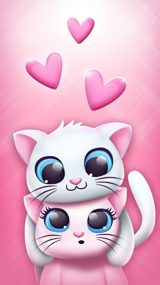 kitty