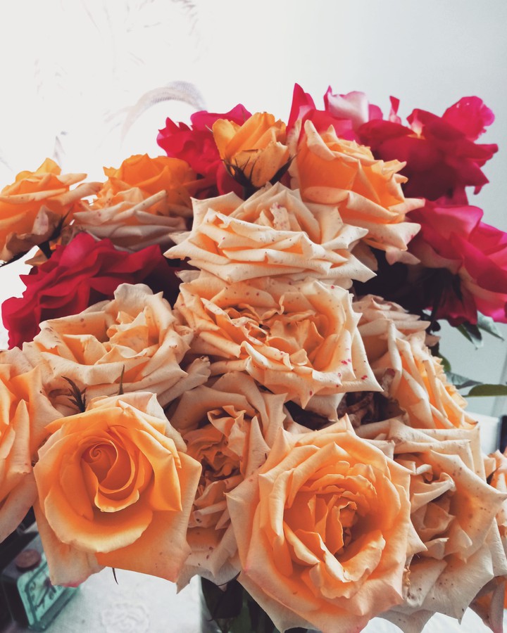 Roses