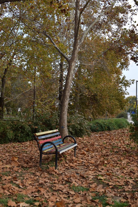 autumn colors