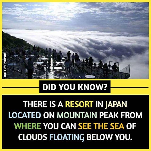 Amazing facts