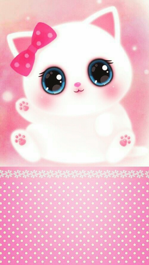 Cute cat