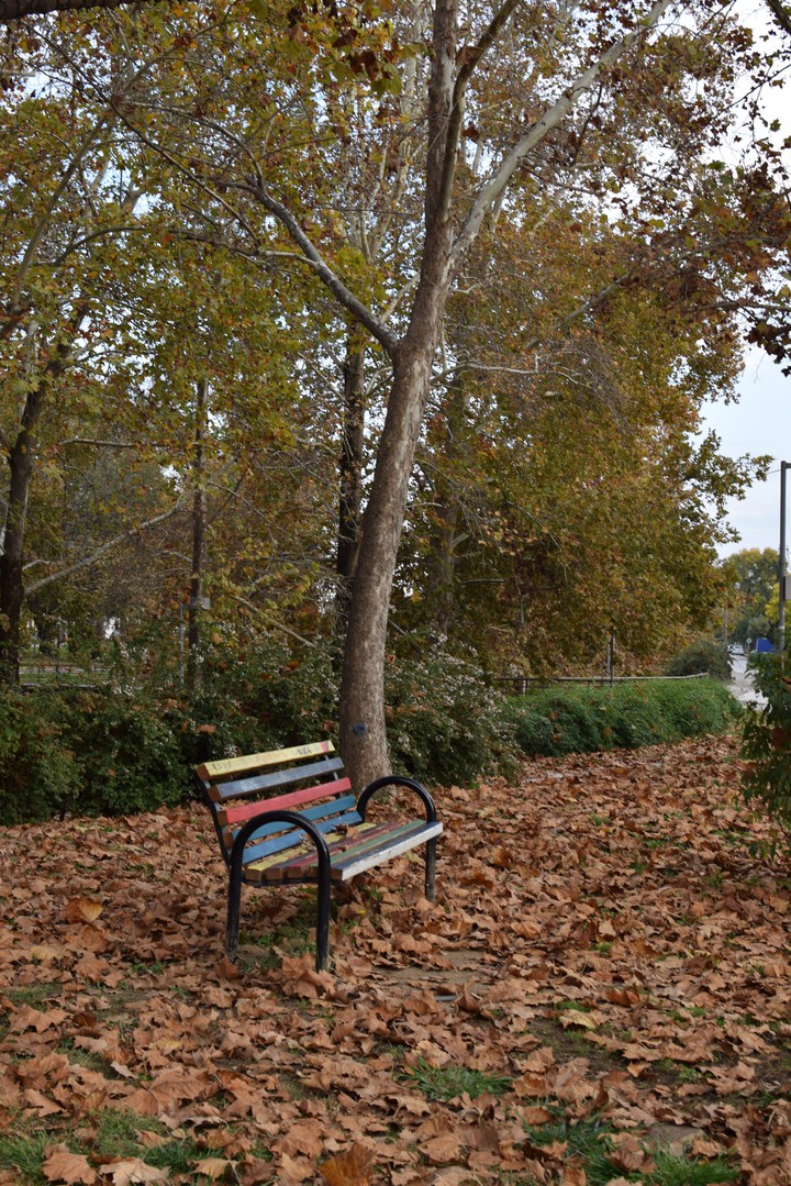 autumn colors