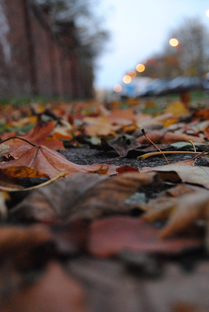 autumn