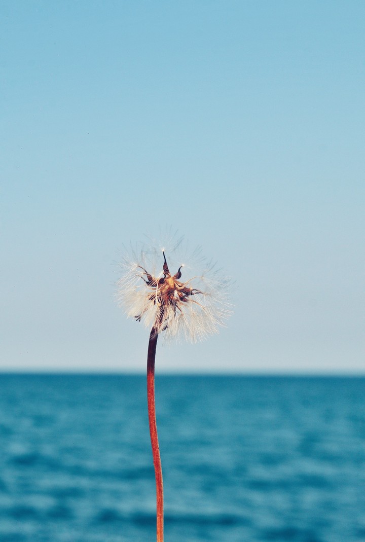 feel the life