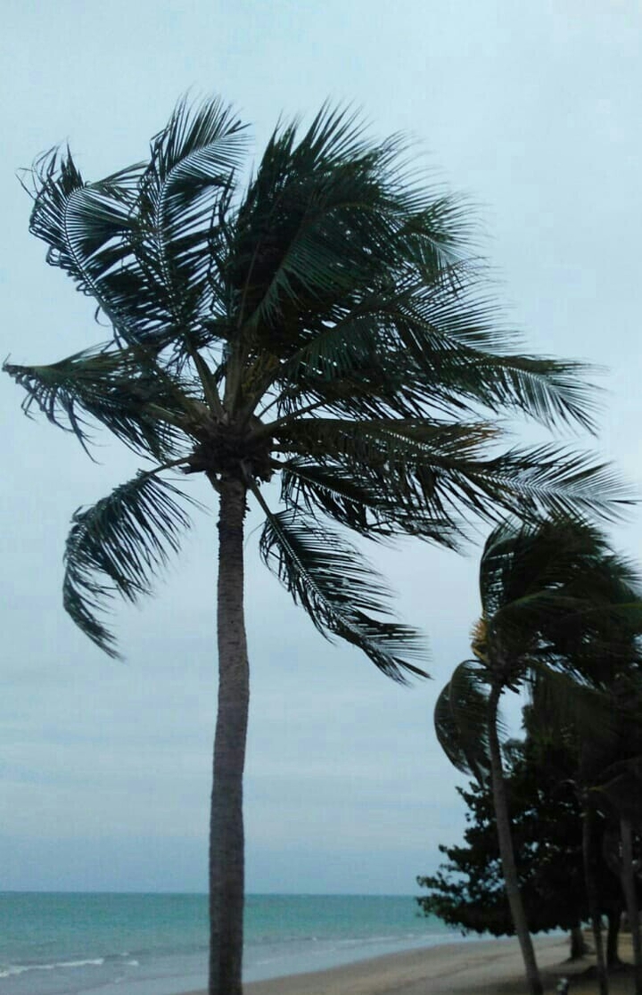 natureza