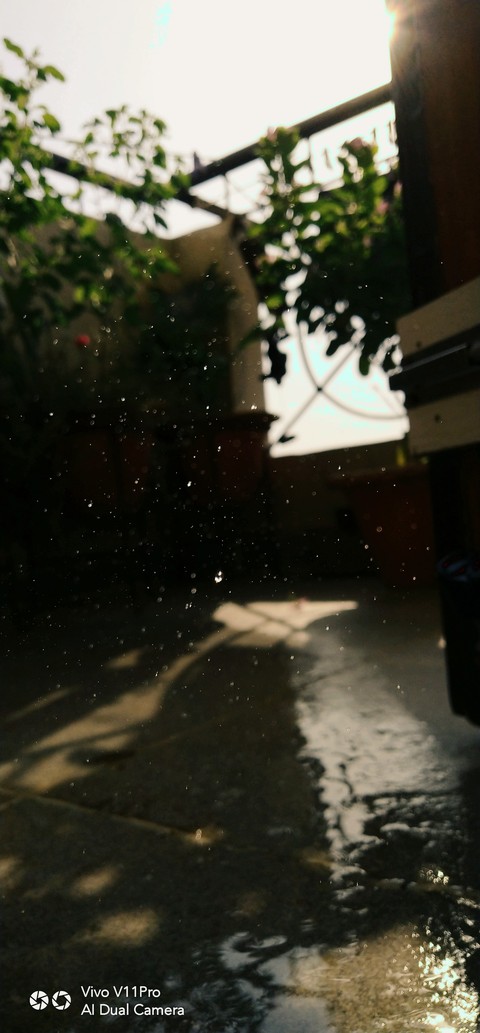 Water Drops