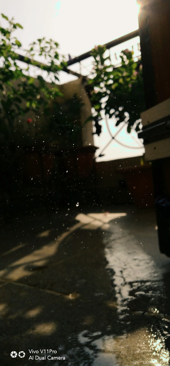 Water Drops