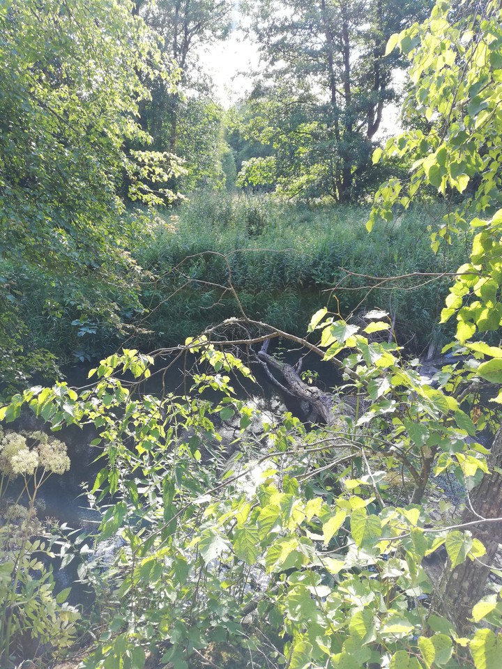 river