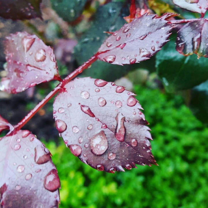 all about rain