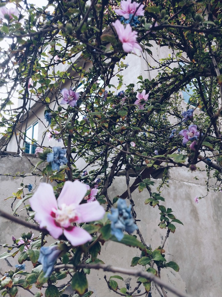 naturaleza