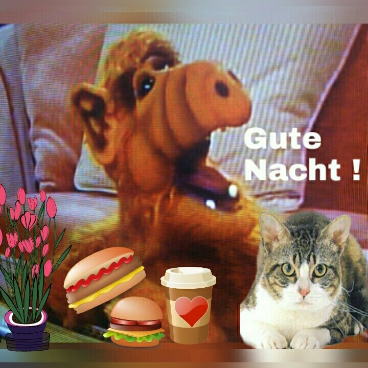 Gute Nacht
