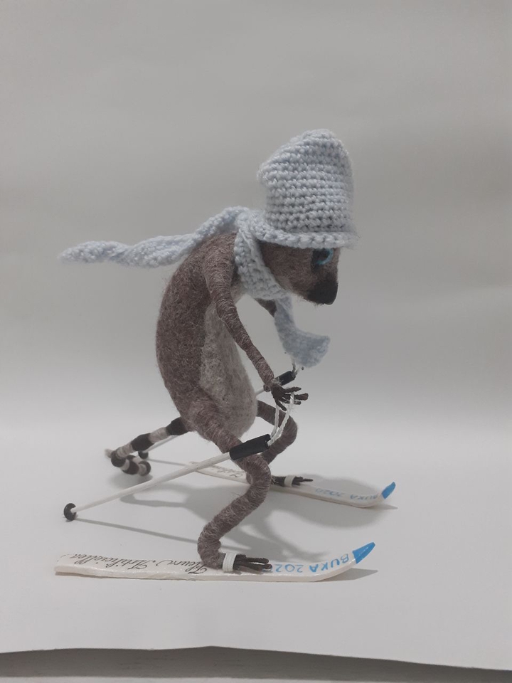 I like skiing