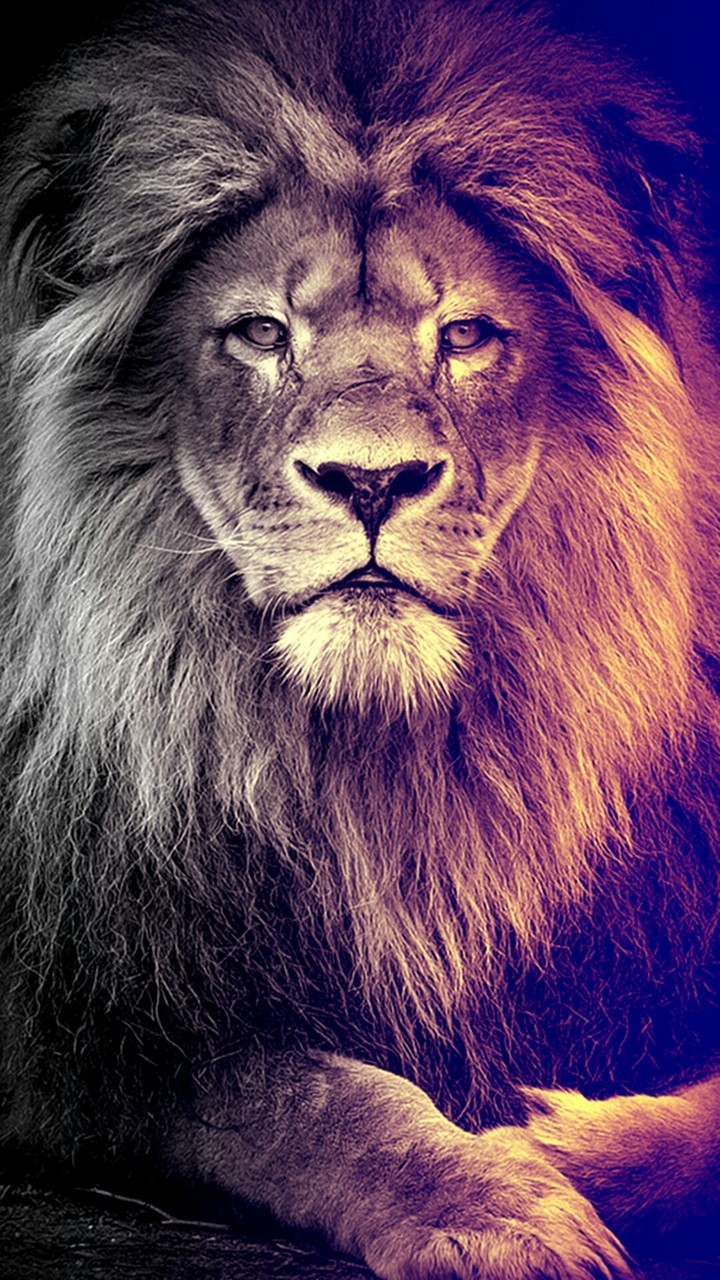 the lion