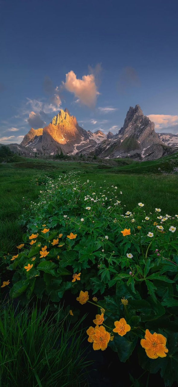 тапети hill, Wilderness