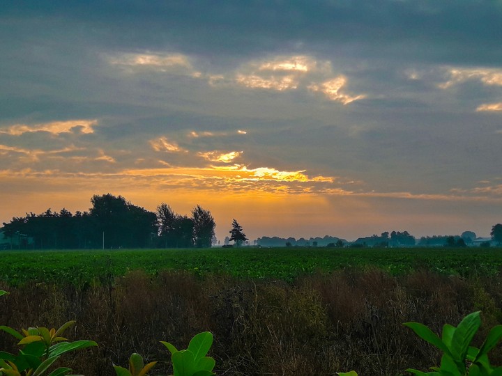 Sunrise