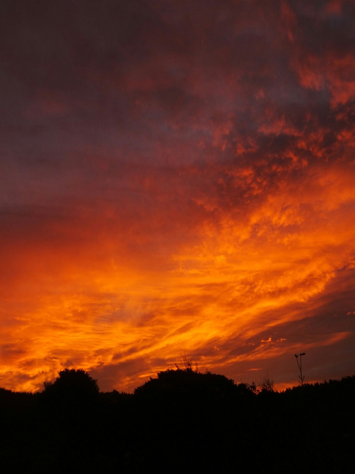 The sky ablaze