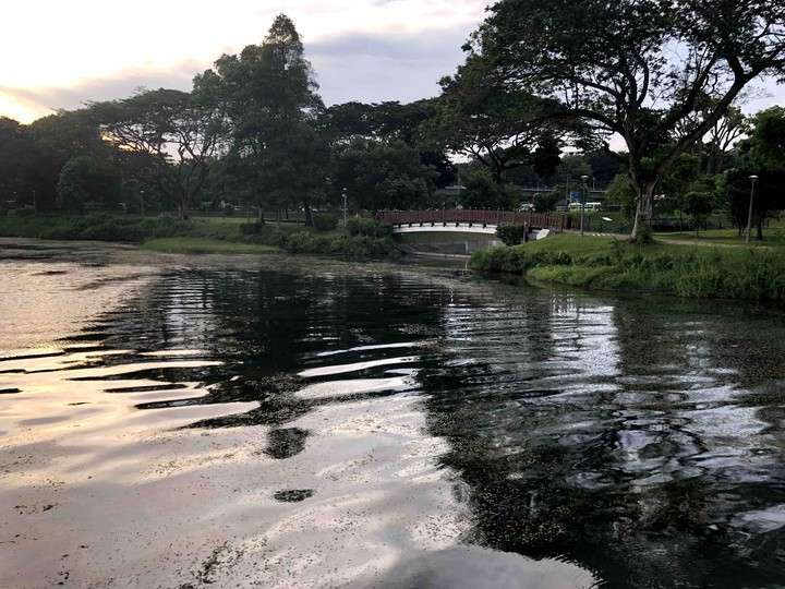 Reservoir in Singapore