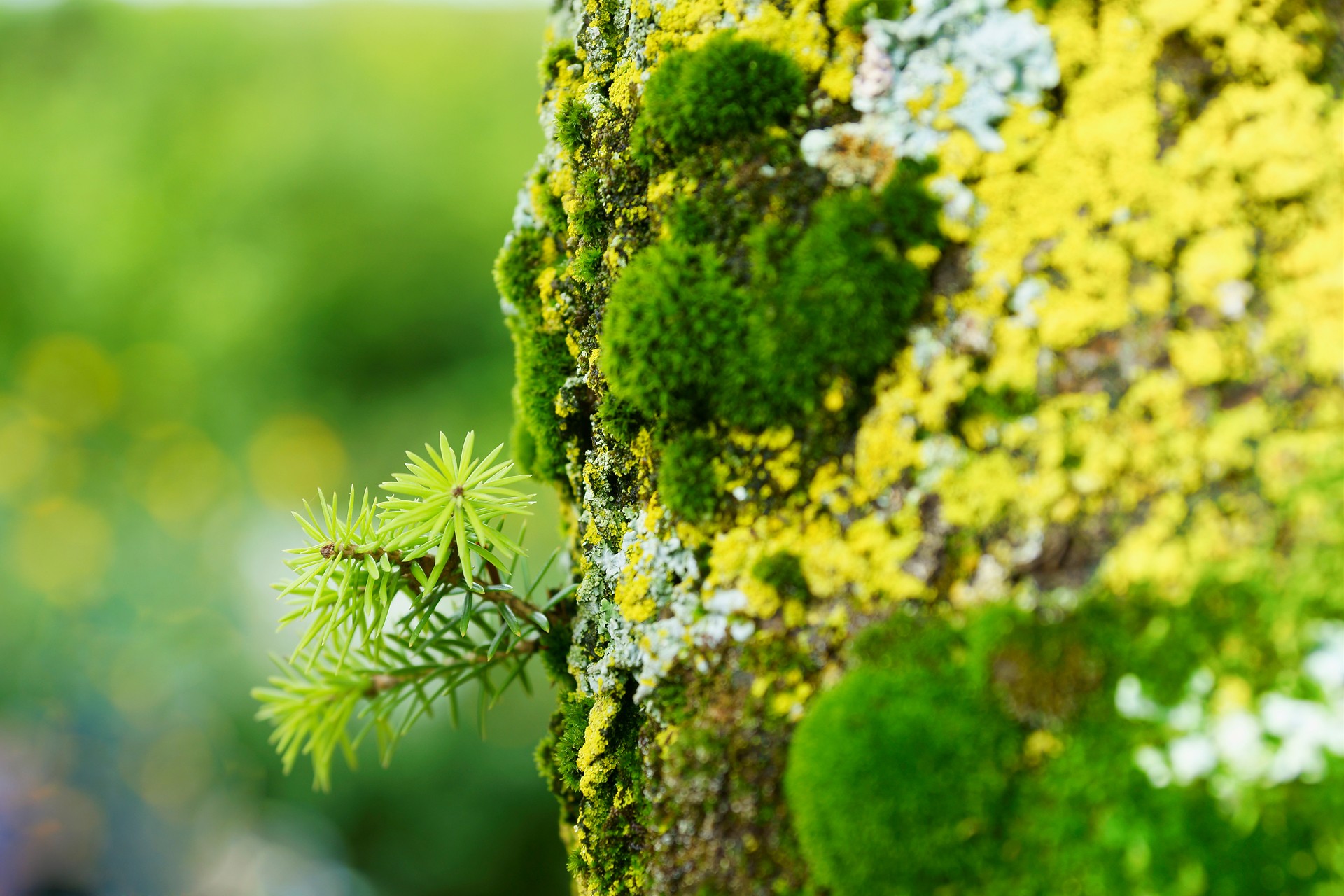 Nature