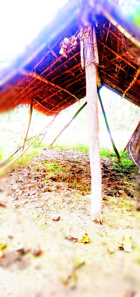 hut