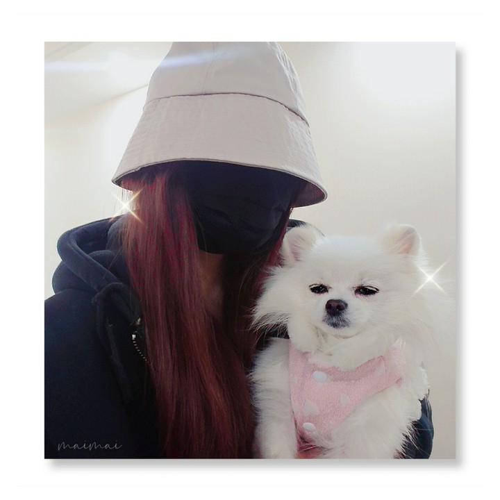 (* ˘⌣˘)◞❤ヽ(•‿• )