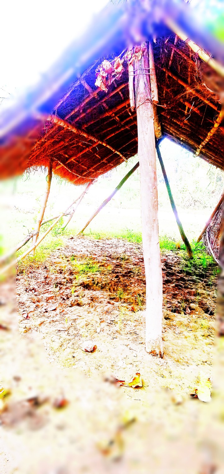 hut