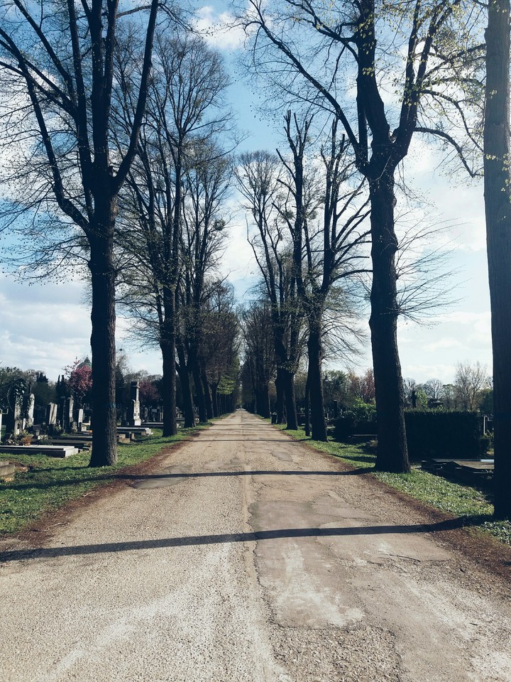 Pathway