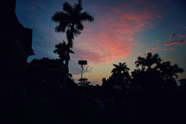Nature at it's best