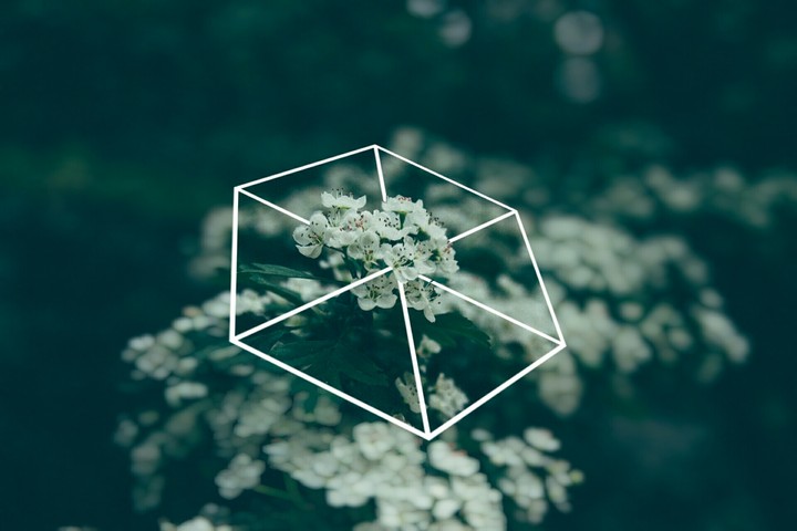 3D
