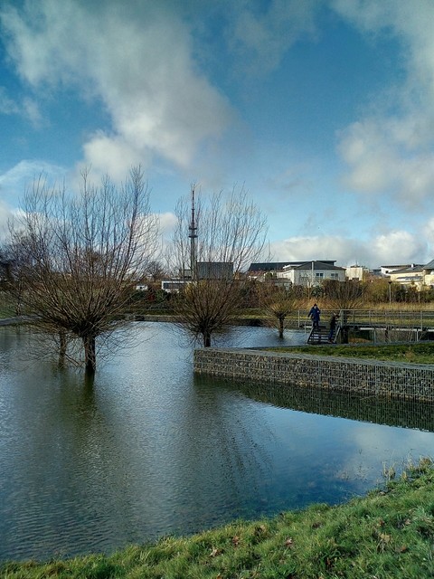 The blue sky