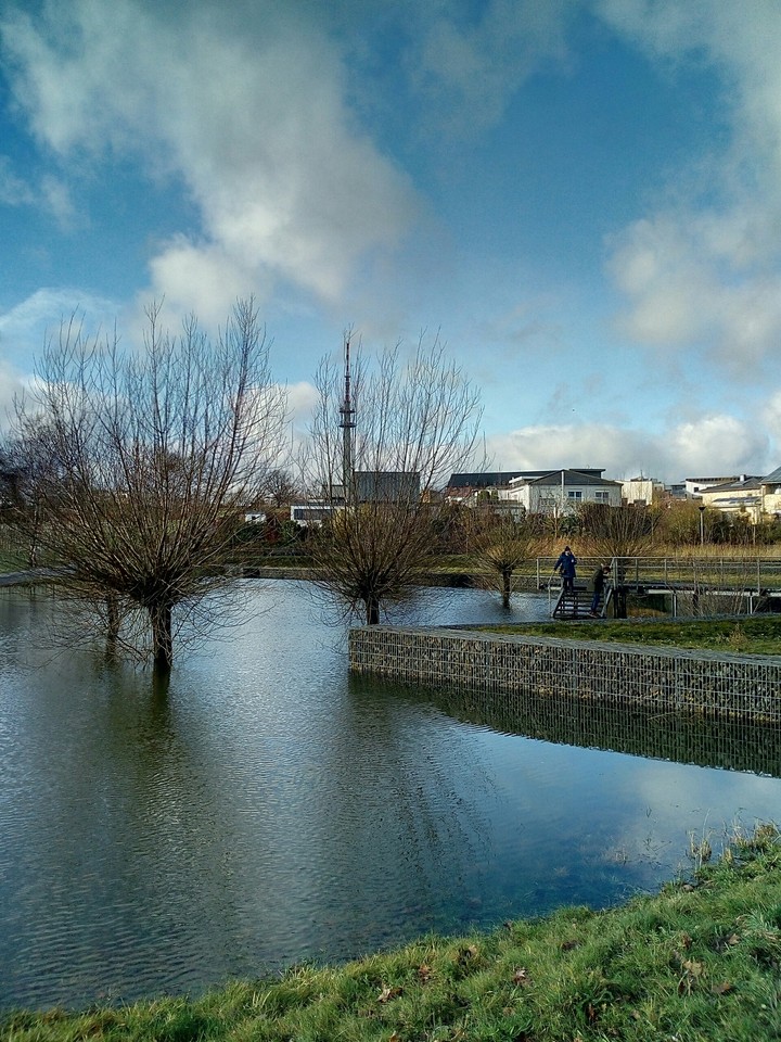The blue sky