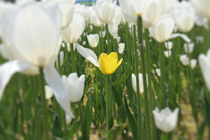 넌 특별해