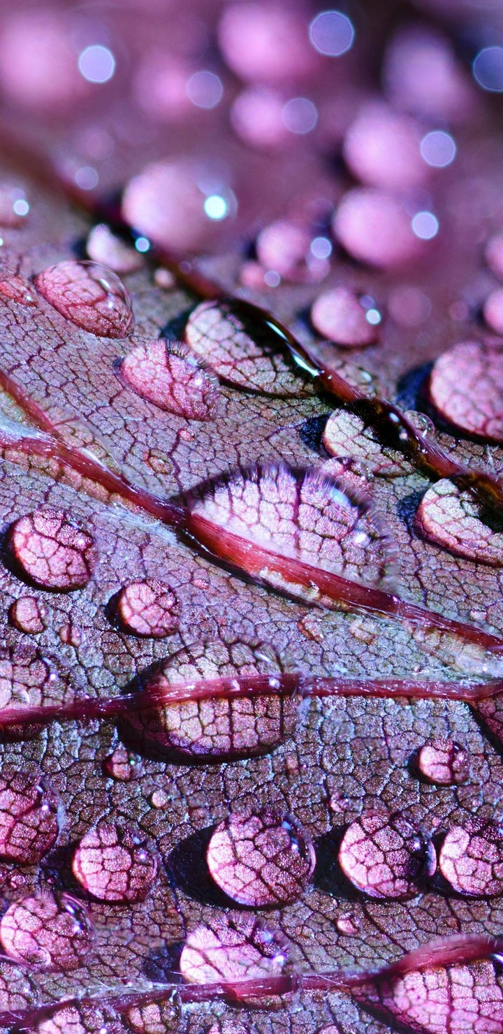 drop of water