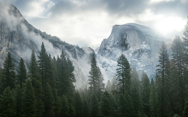 mountain and forest