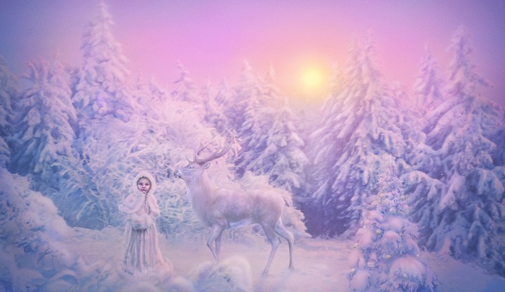 Winter dream