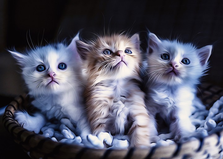 ❤️❤️