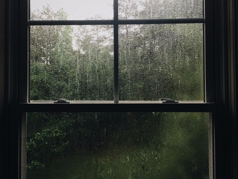 רקעים grass, window
