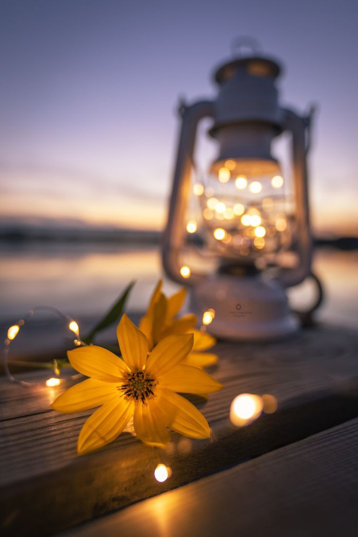 Wonderful evening