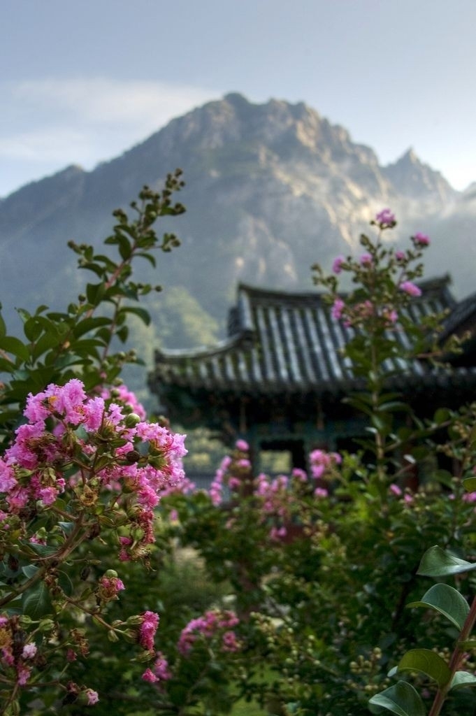 Pagoda