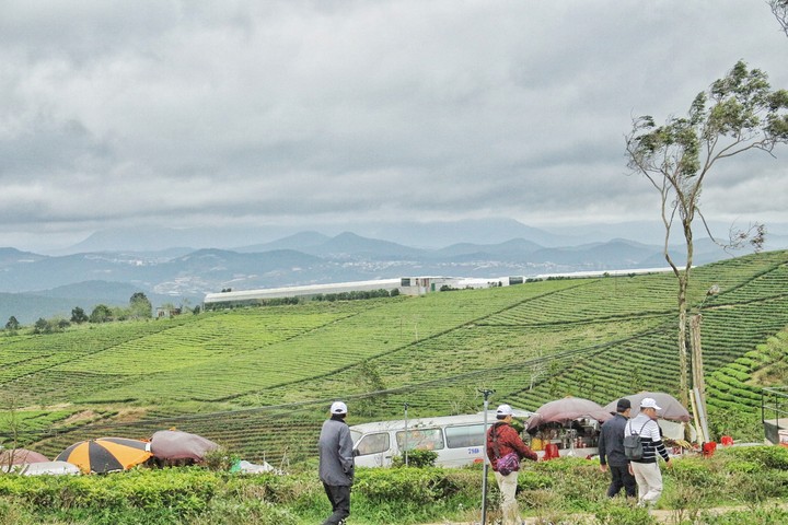 Cầu Đất farm