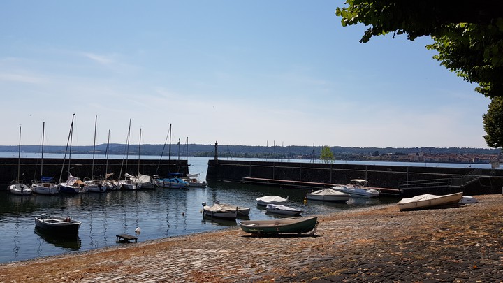 Summer day on the lake