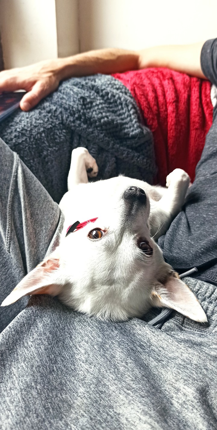 Mignonnerie