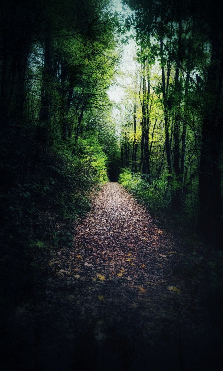 Grün
