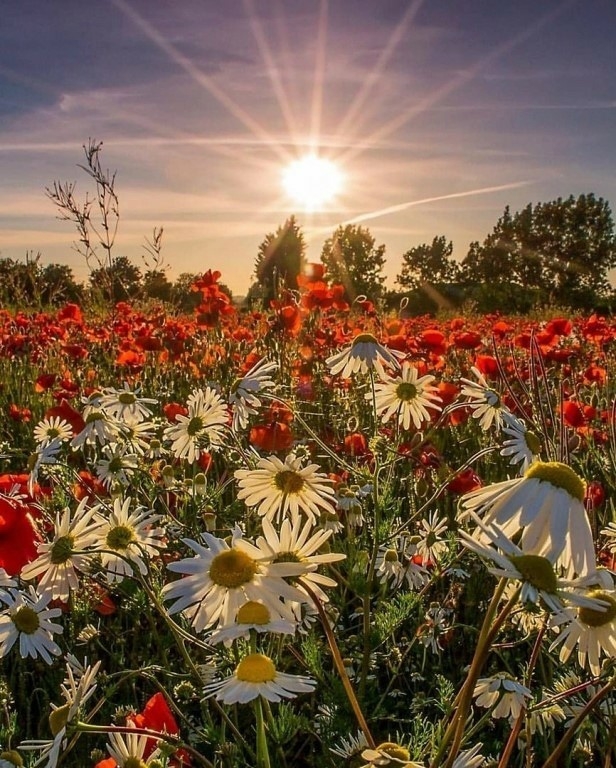 nature