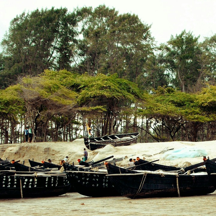 Boats....Beach....Trees....Peoples....