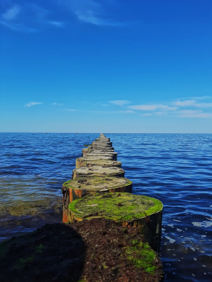 somewhere in the sea