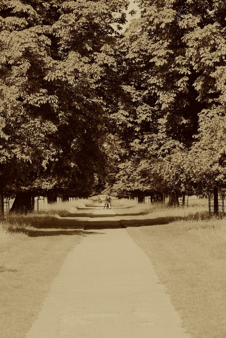 Phoenix Park