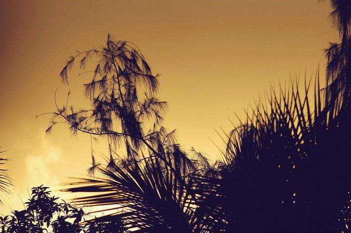 sunset scene