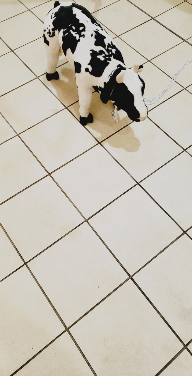 牛
