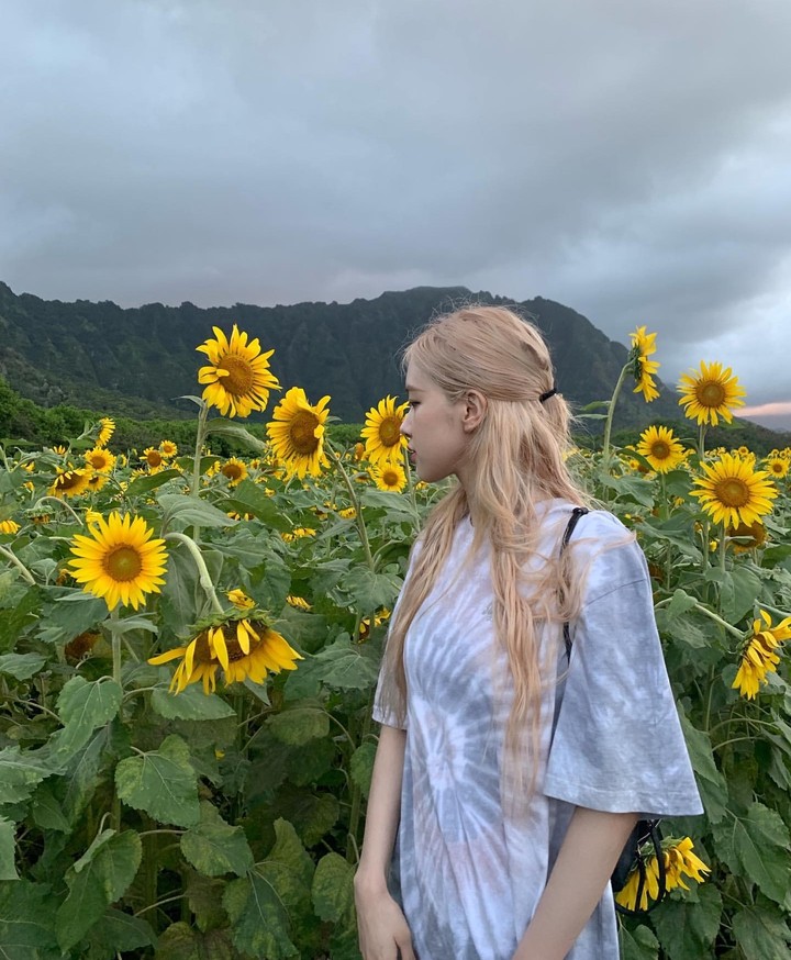 rosé blackpink