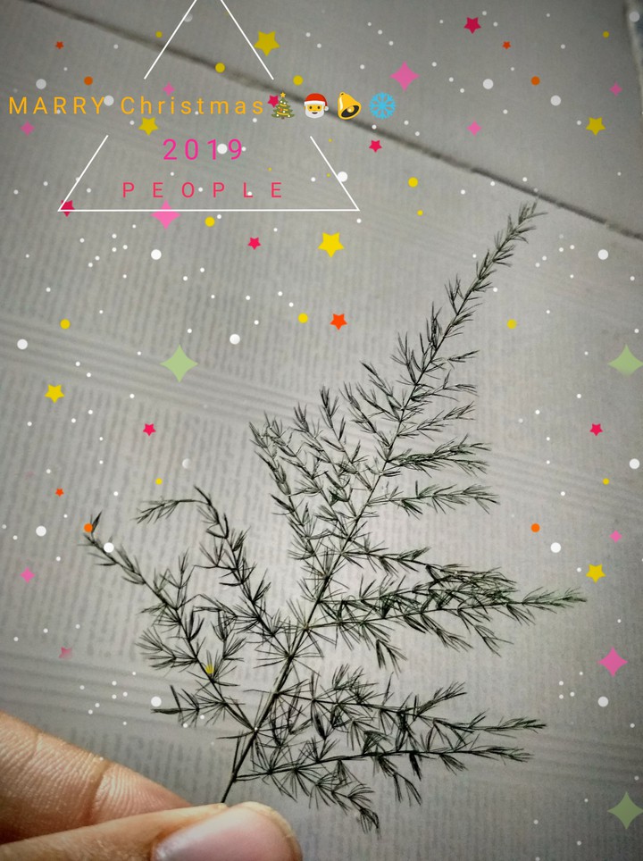 Marry Christmas Day???❄